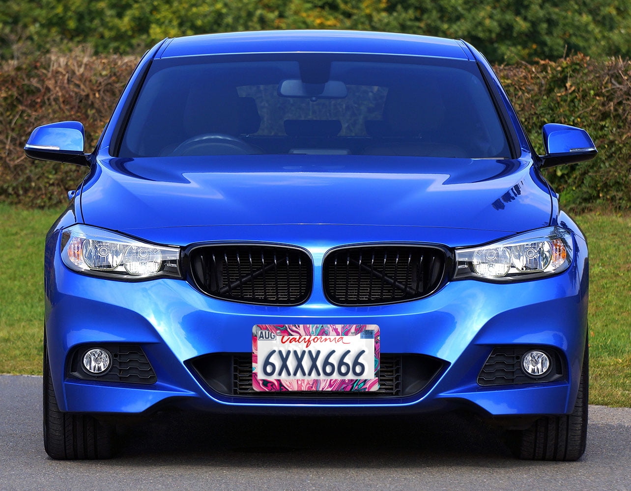 Design Galaxy WIRESTER Printed License Plate Frame Decoration Cover for Car Truck SUV Vehicle
