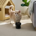 thumbnail image 2 of Sam's Pets Tall Tulip 2.0 Pet Bowl in Glossy Black, 2 of 9