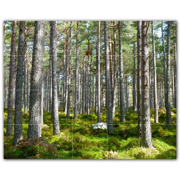 Picture-Tiles.com: Trees Ceramic Tile Wall Mural WAL501034-54L. 40"W x 32"H using (20) 8" x 8" Ceramic Tiles-Satin Finish