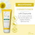 thumbnail image 3 of Klorane Brightening Conditioner With Chamomile - Brightens Blonde & Lighter Shades of Hair, 6.7 Fl Oz, 3 of 8