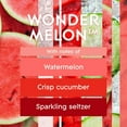 thumbnail image 3 of Glade Branchées® Huile parfumée Recharge, Wonder Melon™, 3 of 8