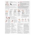 thumbnail image 6 of Cosco Kids Rise Backless Booster Car Seat, Island Tide, 6 of 7