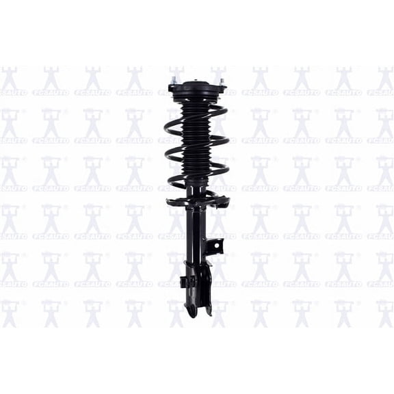 Suspension Strut and Coil Spring Assembly