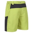 thumbnail image 5 of Regatta Boys/Girls Sorcer Mountain III Shorts, 5 of 6