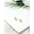 thumbnail image 5 of Gem Stone King 18K Yellow Gold Plated Silver Earring Jackets for 5mm Round Studs, 5 of 5