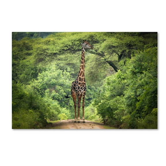 Trademark Fine Art 'Unexpected Meeting' Canvas Art by Kirill Trubitsyn