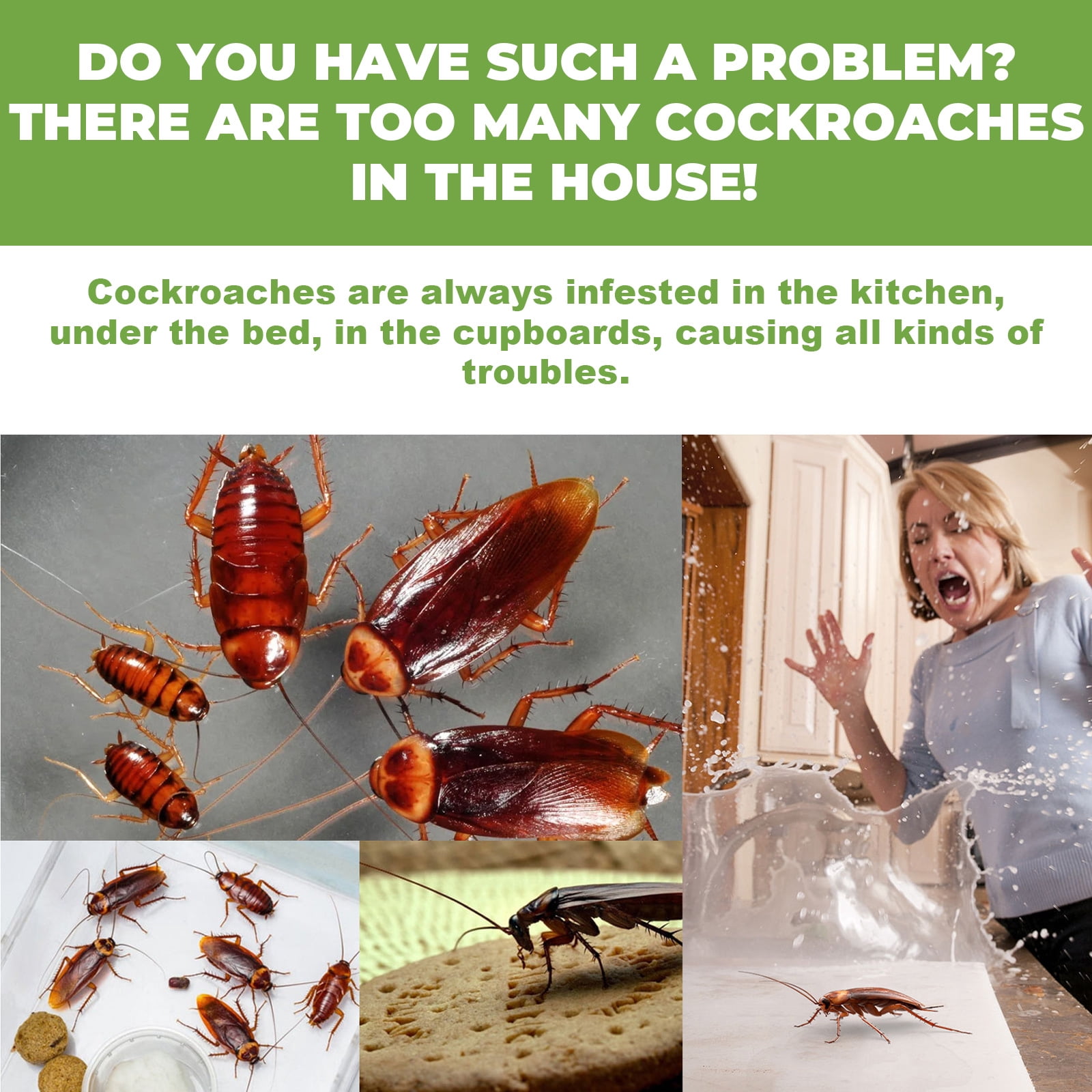 Alvantor Indoor Roach Killing Bait Stations, 12 Count for Small to Large Roaches