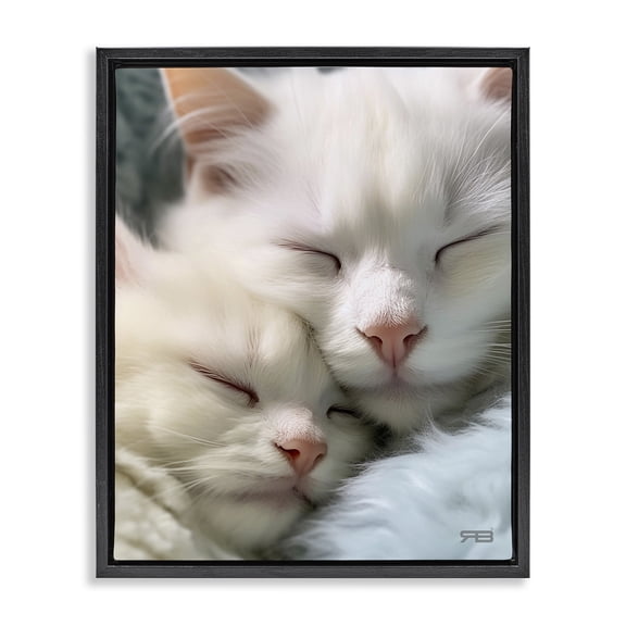 Stupell Industries Farmhouse Cuddling White Cats Black Floating Frame Canvas Art, 17 x 21, by RB
