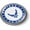Metal Bezel - Style 1, variant on U.S. Air Force Retired Logo 3D Domed Car Emblem – Flexible Style 1