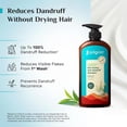 thumbnail image 3 of Pilgrim Anti-Dandruff Shampoo with Australian Tea Tree & Salicylic Acid | Non-Drying Scalp Relief | Reduces Visible Flakes | Suitable for All Hair Types | 21.98 Fl Oz (650ml), 3 of 9