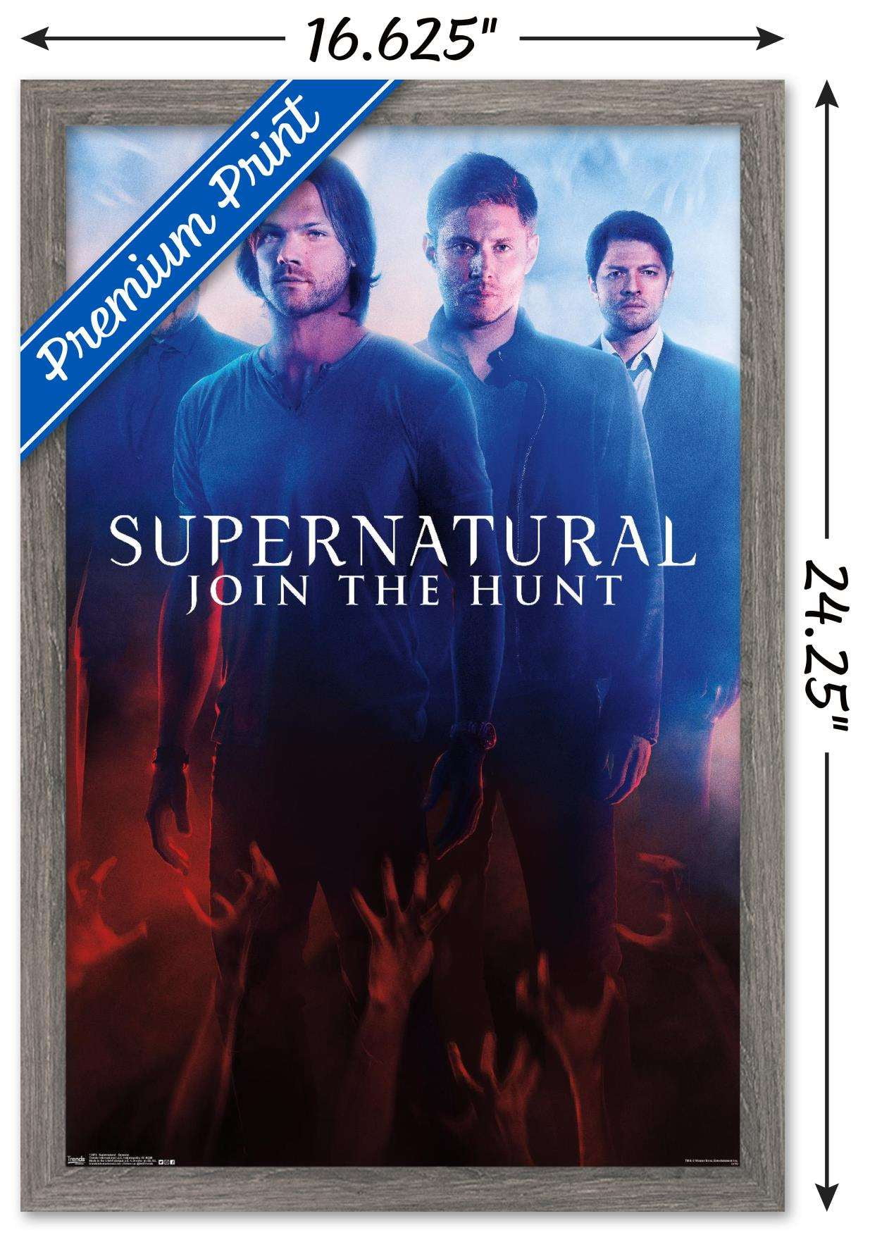 Supernatural - Demons Wall Poster, 14.725" x 22.375", Framed