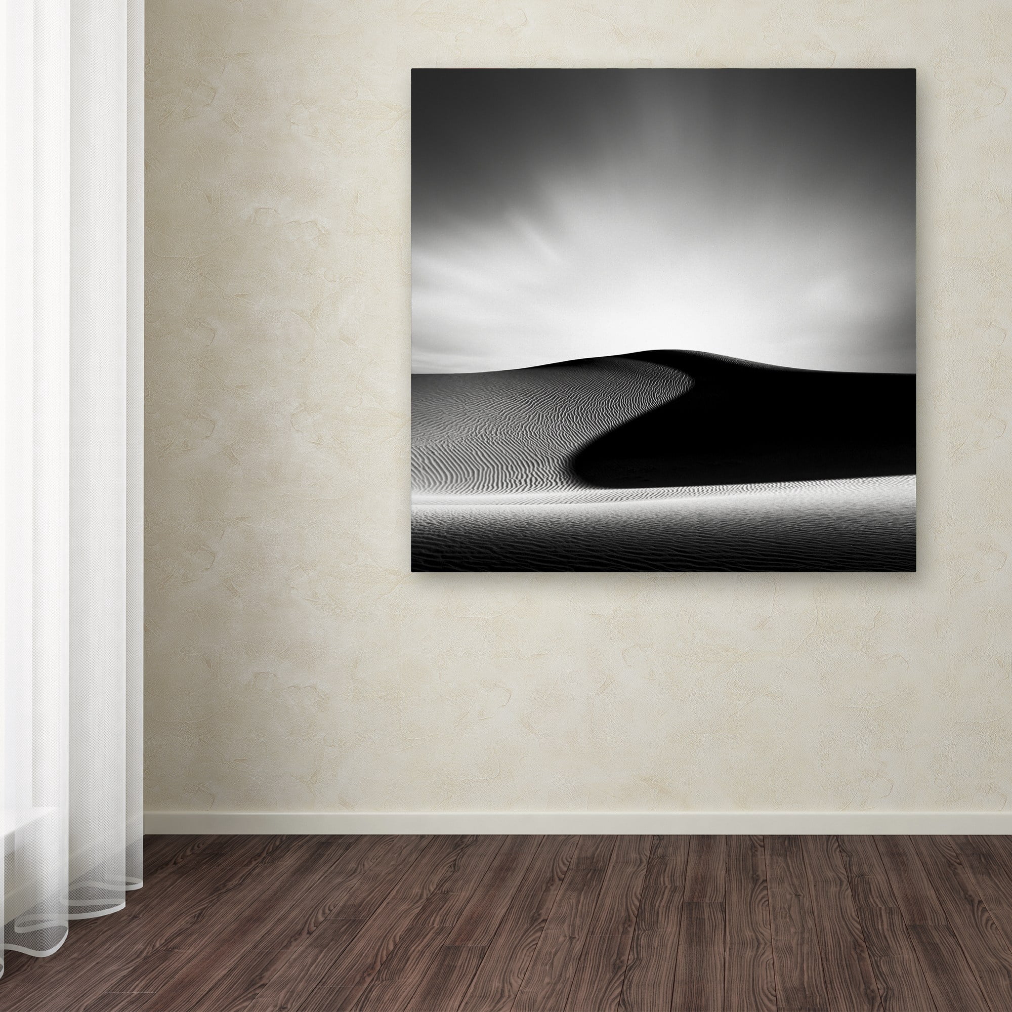 Trademark Fine Art Dave MacVicar 'Dark Shadows' 18 x 18 (ALI0869-C1818GG)