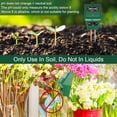thumbnail image 3 of Accurate Probe for Indoor Outdoor Use, Soil Moisture Meter Comprehensive Testing Ranges Designed for Soil Measurements Plant Care Tool, 3-in-1 Soil Tester User-Friendly, 3 of 7
