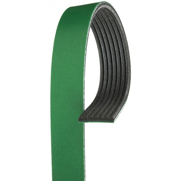 Serpentine Belt