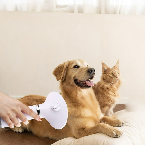 Dog hot sale dryer blower