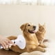 thumbnail image 5 of Secador de pelo para mascotas Aufmer con cepillo suave, silencioso, 3 ajustes de calor, portátil, para perros, profesional, para el cuidado del hogar, secado rápido para perros. Última actualización., 5 of 8