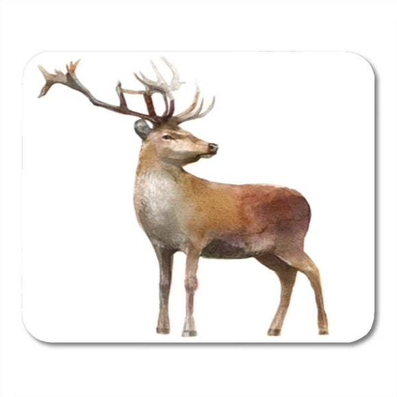 POGLIP Red Wildlife Watercolor of Deer Drawing Forest Antler Mousepad Mouse Pad Mouse Mat 9x10 inch