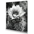 thumbnail image 2 of DESIGN ART Designart "Grey Desert Cactus I" Floral Cactus Canvas Art Print 16 in. wide x 32 in. high, 2 of 5