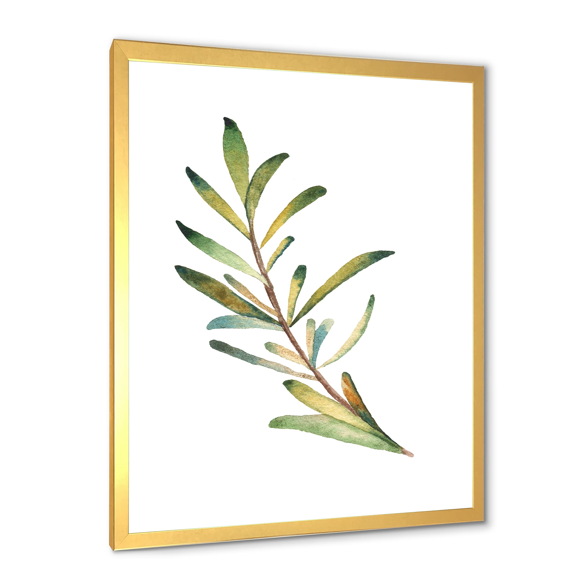 Designart 'Leaf Rosemary Branch on White' Traditional Framed Art Print