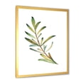 thumbnail image 2 of Designart 'Leaf Rosemary Branch on White' Traditional Framed Art Print, 2 of 4