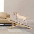 thumbnail image 4 of DOLITY Pet Climbing Ladder Non Slip Carpet Ladder Height Adjustable Pets L, 4 of 9