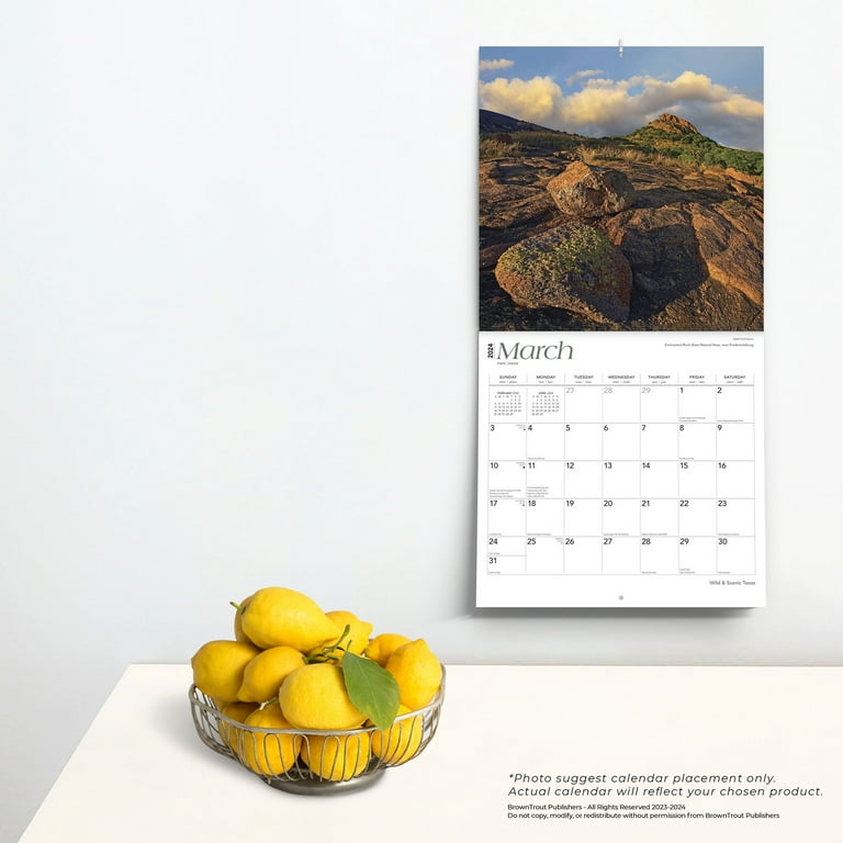Brown Trout 2025 Calendars For Sale In Texas kylie jacquelin