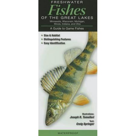 Freshwater Fishes of the Great Lakes : A Guide to Game (Best Places To Fish On Leech Lake)