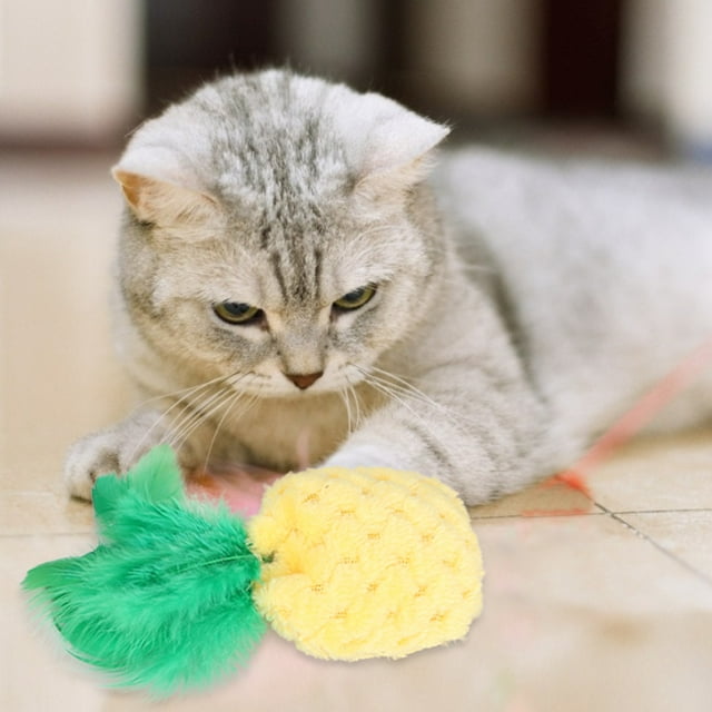 Jouet pour Chat pour Animaux de Compagnie, 5 Pièces Jouet Interactif pour Chat pour Animaux de Compagnie Dents Molaires pour Chat Caractéristiques de Pointe