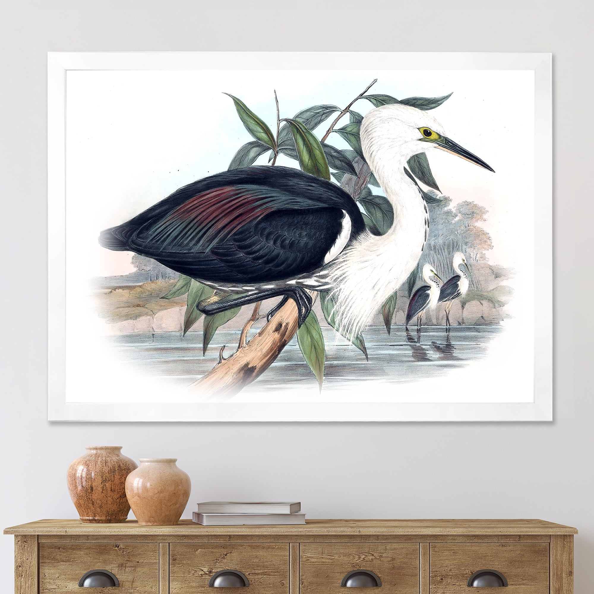 Designart 'Ancient Birds Of Australia' Traditional Framed Art Print