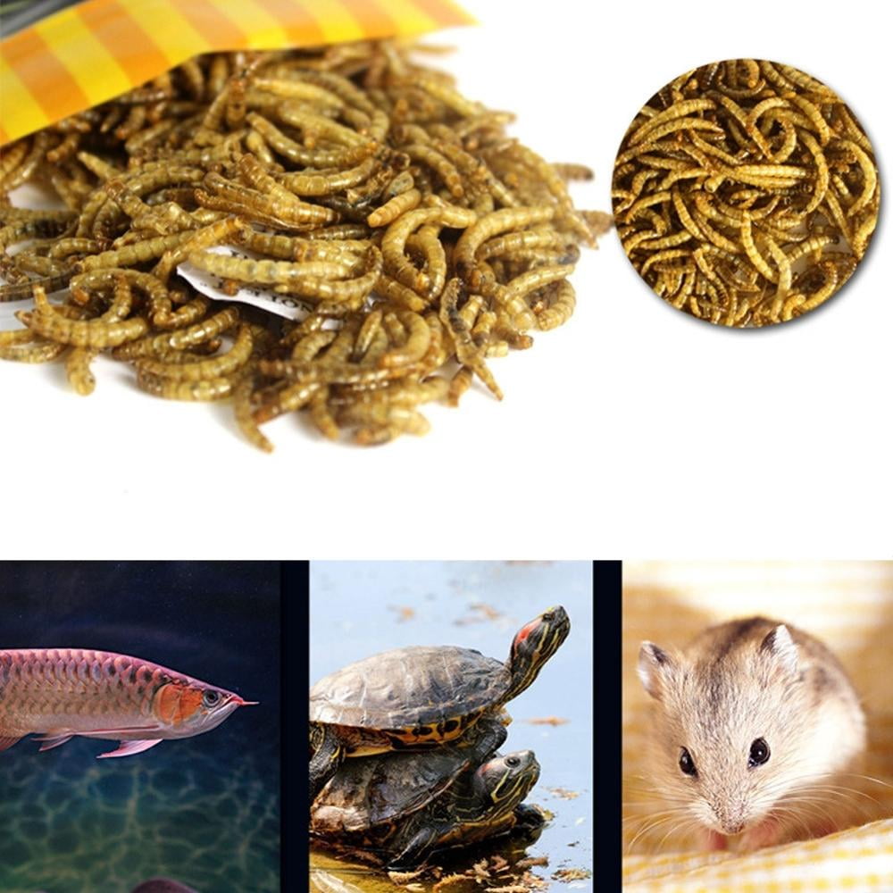 Beckuum 1/2 lbs Mealworms Pet Turtle Food Feed Betta Fish Feeder Granules Dried Fish Shrimp
