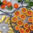 thumbnail image 3 of NutriChef Déshydrateur Alimentaire Électrique de Comptoir - Conserve les Aliments à Plusieurs Niveaux - Déshydrate Poisson, Viandes, Champignons, Fruits et Légumes - 5 Facile à Nettoyer Empilable, 3 of 8