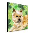 thumbnail image 1 of "Treasures Cn Terrier St Patrick's Panel decoración de pared, multicolor" Caroline's Treasures BB9864UP88, 1 of 1