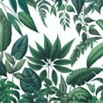 thumbnail image 6 of PIKWEEK Tropical Palm Leaf Summer Green Leaves Print Hawaiian Plant Table Cover White, 6 of 8