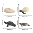 thumbnail image 3 of Daisyyozoid 4 Piece Insect Figure Animal Life Cycle Plastic Brood To Mature Period, 3 of 3