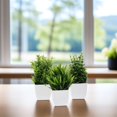 thumbnail image 1 of unbranded 3Ud Plantas Falsas En Maceta Para Oficina Y Hogar Con Y Material Duradero, 1 of 8