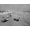 Unframed, variant on Art.com Daytona Beach Is 23-Mile-Long and 600 Feet Wide Photo, 16" x 12"