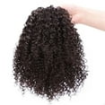 thumbnail image 4 of Peluca Lady Hair Buds Pequeño Cabello Rizado Moño de Cabello Rizado, 4 of 4