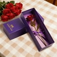 thumbnail image 5 of Preserved Rose Eternal Floral Arrangement For Valentines Day Anniversary Celebration Forget Not Flowers Hanging Flowers Outdoor Flowers for Wreath Making Winter Floral Arrangements Winter Flower, 5 of 5