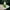 Army green, variant on SHIMELE Christmas Tree Aroma Candle, Festive Decoration, Handcrafted Gift for Holiday Moments - 4.6*9.6cm Paraffin Candle