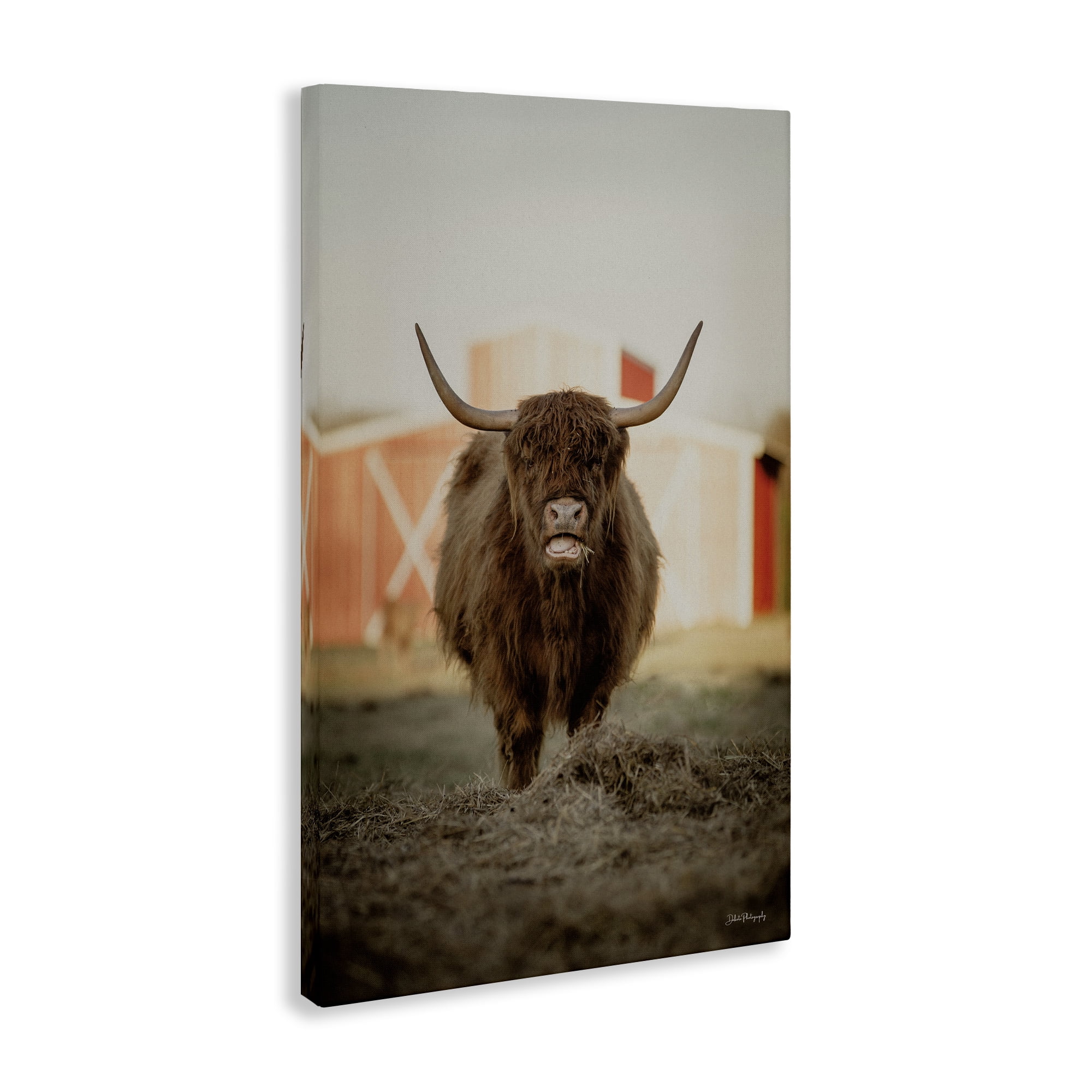 Stupell Industries Cattle on Farm Field Animals & Insects Photography Gallery Wrapped Canvas Art Print Wall Art, 16 x 24