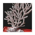 thumbnail image 2 of Coral Reef Reflection - Canvas, 2 of 25