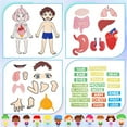thumbnail image 5 of Body Parts Learning Felt Story Board for Family 48 Pcs Large Preschool Human Organ Name Words Useful Felt Story Board Set Wall Activity, 5 of 9