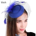 thumbnail image 2 of Qarigey Sombrero tocado para mujer, velo de malla de plumas, fiesta de té, boda, novia, pinza para el pelo, tocado para niñas y mujeres, azul Type3 NO3, 2 of 5