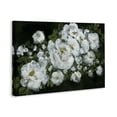 thumbnail image 4 of Stupell Industries Midnight Blooming Roses Botanical & Floral Painting Gallery Wrapped Canvas Art Print Wall Art, 36 x 24, 4 of 8