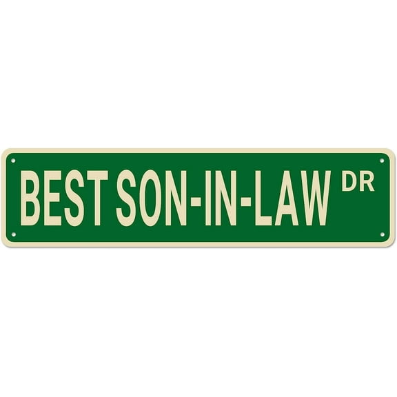BEST SON-IN-LAW DR Vintage Signs Retro Tin Signs Art Plaque Aluminum Sign for Bedroom Kitchen Garden Wall Bar Club Coffee Hanging Sign Home Decor 4x16 Inch