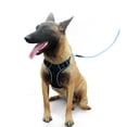 thumbnail image 2 of DODOPET Comfort-Fit Dog Harness for Outdoor Activities - Scratch-Resistant Oxford Cloth with Breathable Mesh Padding, Reflective Strips, Quick-Release Buckles - Lightweight, Easy to Clean - Black, 2 of 6