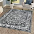 thumbnail image 4 of JONATHAN Y MODERN PERSIAN 8 x 10 Area Rug, Palmette Floral - Gray/Ivory, MDP503A-8, 4 of 12