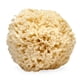 thumbnail image 1 of Esponja de lana marina, espuma, exfoliante corporal natural, 1 of 8