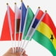 thumbnail image 2 of Pollos de bandera de plástico de 100 piezas de plástico Palas de plástico de poste de bricolaje de plástico, 2 of 5