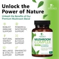 thumbnail image 6 of Mushroom Brain Supplement 10 in 1 Blend - High Strength Mushroom Complex with Lions Mane, Turkey Tail, Reishi, Cordyceps, Chaga & Brain Nootropic Complex for Memory & Focus Support - 60 Capsules, 6 of 10